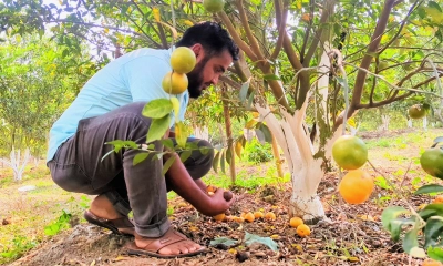 তরুণ কৃষি উদ্যোক্তা মমিনুল ইসলাম মিন্টু। ছবি- রূপালী বাংলাদেশ