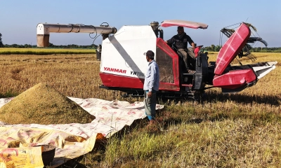 শ্রমিক সংকটে মেশিনে ধান কেটে লাভবান গোয়াইনঘাটের কৃষকরা