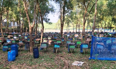 ছবি: রূপালী বাংলাদেশ