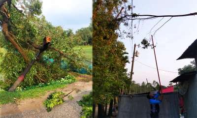 কালবৈশাখীর তাণ্ডবে লন্ডভন্ড জনপদ, বিদ্যুৎ লাইন ক্ষতিগ্রস্ত