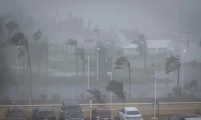 জাপানে আঘাত হানল টাইফুন বাভি