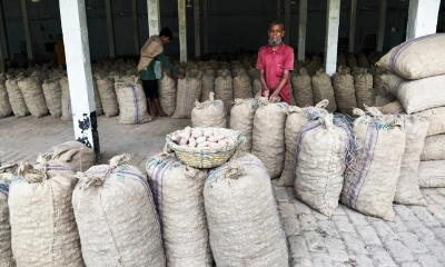 হতাশার ফসলে পরিণত হয়েছে আলু, লোকসানে কৃষকরা