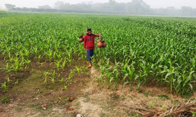 ছবি: রূপালী বাংলাদেশ