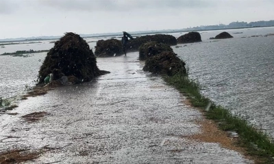রাতভর বৃষ্টিতে বাড়ছে নদ-নদীর পানি, দুশ্চিন্তায় কৃষক
