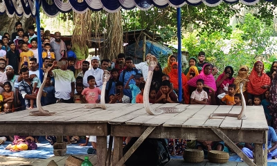 চুয়াডাঙ্গায় গ্রাম বাংলার ঐতিহ্যবাহী ঝাঁপান খেলা অনুষ্ঠিত
