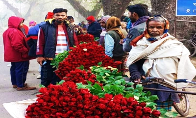 ফুলের রাজ্য গদখালিতে বেড়েছে ব্যস্ততা