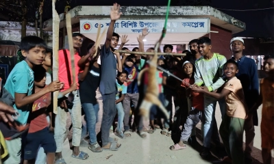 বেওয়ারিশ কুকুরের কামড়ে একদিনে আহত ১৭