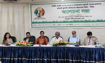 নবায়নযোগ্য জ্বালানিতে বাজেট প্রণোদনা, কার্যকর বাস্তবায়নের আহ্বান