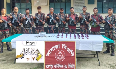 মহেশপুরে সীমান্তে বিজিবির অভিযানে অস্ত্র ও এসকাফ জব্দ