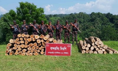 ছবি: রূপালী বাংলাদেশ ছবি: রূপালী বাংলাদেশ