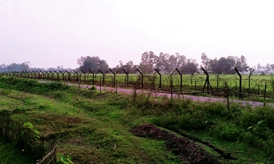 সীমান্ত দিয়ে বাংলাদেশে ঢুকে পড়ল চিতাবাঘ
