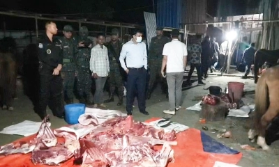 গাজীপুরে জীবিত ঘোড়া ও জবাই করা ঘোড়ার মাংস উদ্ধার