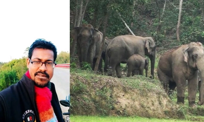 ভিডিও ধারণ করতে গিয়ে হাতির পায়ে পিষ্ট কনটেন্ট ক্রিয়েটর