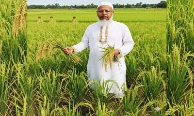 দলীয় প্রার্থীর বিপক্ষে অবস্থান, উপজেলা বিএনপির আহ্বায়ককে শোকজ