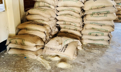 ছবি- রূপালী বাংলাদেশ