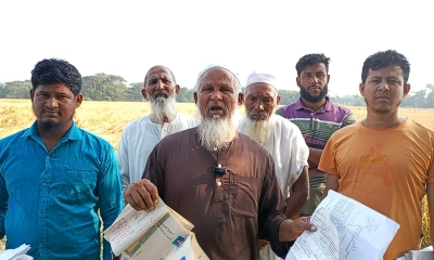 কৃষকের পাকা ধান কেটে নিলেন দুই প্রভাবশালী