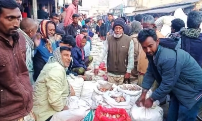 পেঁয়াজের দাম কম, দিশাহারা কৃষক