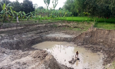 এক্সকাভেটরে কাটা হচ্ছে ফসলি জমি, প্রশাসনের ভূমিকা নিয়ে প্রশ্ন