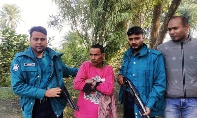 পেয়ারা বাগানের আড়ালে গাঁজা চাষ, কৃষক আটক