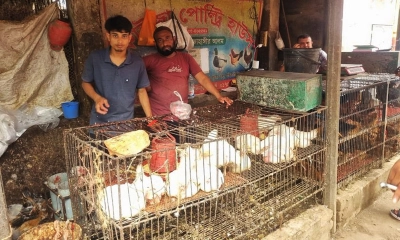 টাকা দিয়েও মিলছে না সয়াবিন তেল, মুরগির দামে আগুন