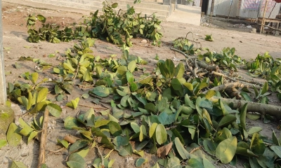 ছবি: রূপালী বাংলাদেশ