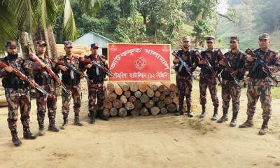 বিজিবির অভিযানে অবৈধ সেগুন কাঠ জব্দ