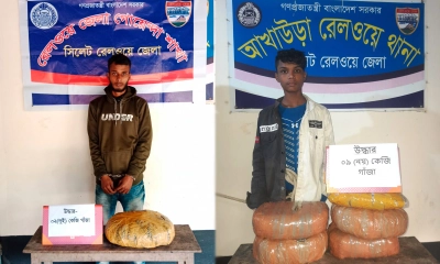 আখাউড়া রেলস্টেশন থেকে গাঁজাসহ দুই কারবারি গ্রেপ্তার