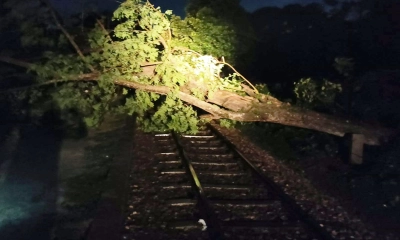 ঝড়ে গাছ উপরে পড়ল রেললাইনে, বন্ধ ট্রেন যোগাযোগ