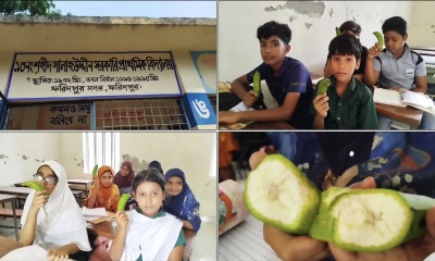 টিফিনে বন রুটির সঙ্গে কাঁচা কলা, শিক্ষিকা বরখাস্ত