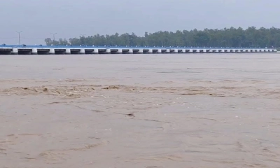 ছবি : সংগৃহীত