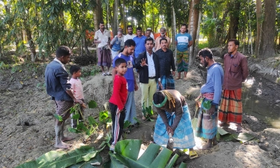 সড়কে কচুগাছ রোপণ করে প্রতিবাদ