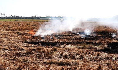 ছবি:  রূপালী বাংলাদেশ