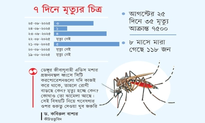 ডেঙ্গুতে সর্বোচ্চ মৃত্যু বাংলাদেশে