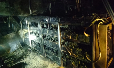 ছবি- সংগৃহীত
