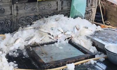 ছবি: রূপালী বাংলাদেশ