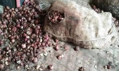 ছবি- সংগৃহীত