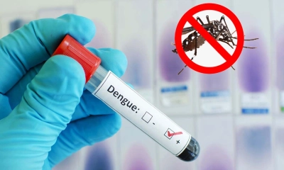 ডেঙ্গুতে ৩ জনের মৃত্যু, হাসপাতালে ৯১২