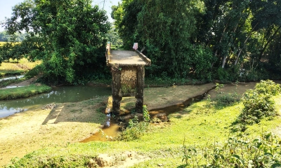 ছবি:  রূপালী বাংলাদেশ