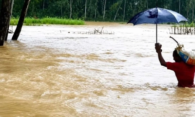 চট্টগ্রামে বন্যার মধ্যে সাপের কামড়ে আহত ৭৫ 