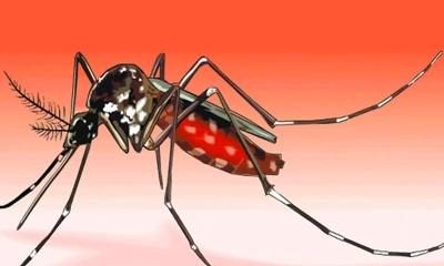 ডেঙ্গুতে ২ জনের মৃত্যু, হাসপাতালে ভর্তি ৩৯৬