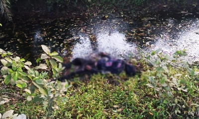 কালীগঞ্জে নসিমন চালকের মরদেহ উদ্ধার