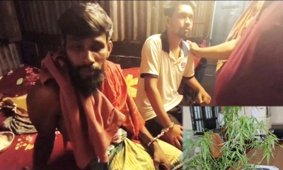 গাঁজা গাছসহ মাদক সেবনরত অবস্থায় দুই যুবক গ্রেপ্তার