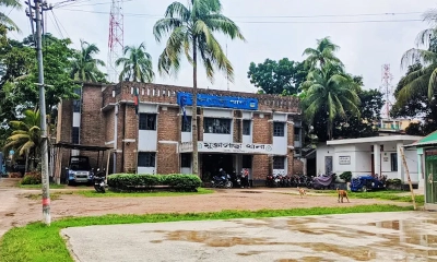 দাঁড়িয়ে থাকা ট্রাকে সিএনজির ধাক্কা, নারীসহ নিহত দুই