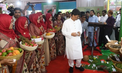 বাংলাদেশ ফল উৎপাদনে বিপ্লব ঘটিয়েছে : কৃষি মন্ত্রী