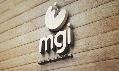 টেরিটরি সেলস ম্যানেজার নিয়োগ দেবে মেঘনা গ্রুপ