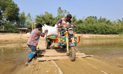 ব্রীজের অভাবে বাশের সাঁকো দিয়ে পারাপার।  ছবি:  রূপালী বাংলাদেশ