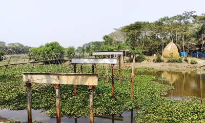 ঠিকাদারের লাইসেন্স কালো তালিকাভুক্ত হওয়ায় বন্ধ সেতুর কাজ, ভোগান্তি চরমে