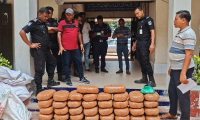 কালিয়াকৈরে ৭০ কেজি গাঁজা উদ্ধার, গ্রেপ্তার ২