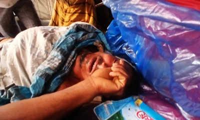 সুন্দরবনে বাঘের আক্রমণে এক মৌয়াল আহত