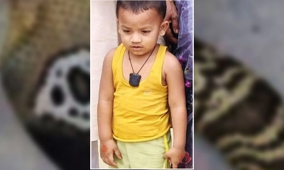 ফটিকছড়িতে সাপের কামড়ে শিশুর মৃত্যু